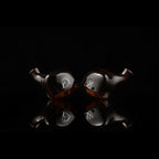 Noble Audio Spartacus – Hybrid IEM